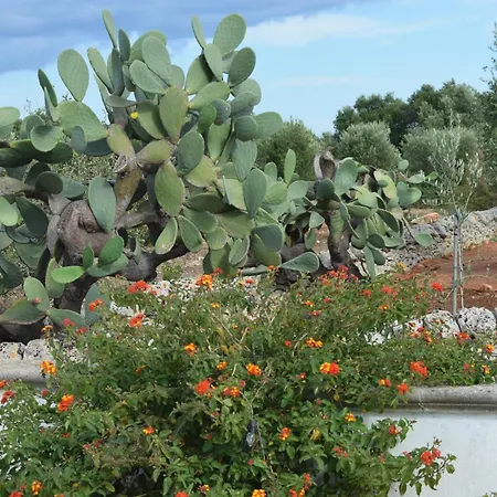 בית נופש Mimi