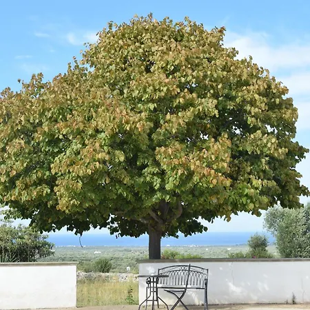 Mimi Ostuni