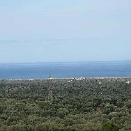 Mimì
