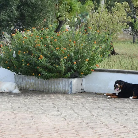 Mimi * Ostuni